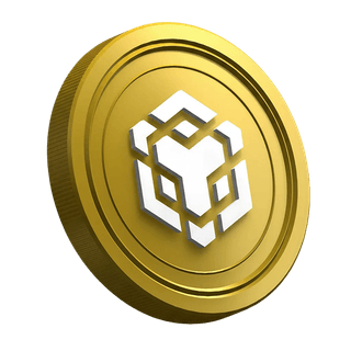 La criptomoneda BNB dentro de la página de la guía del trader principiante